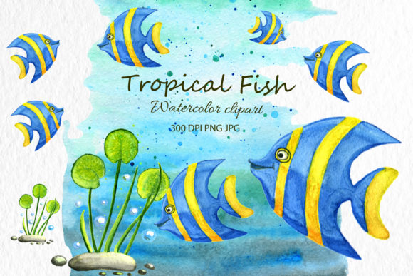 Animal Clip Art Fish Watercolor Animal: A Creative Toolkit