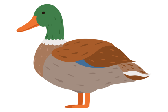 Duck Color Icon: A Farm Bird Wild Animal for Creative Projects