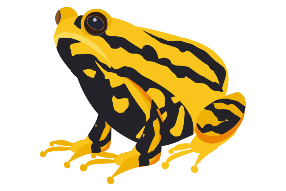 Exotic Toad: A Yellow Black Animal Typeface for Bold Branding